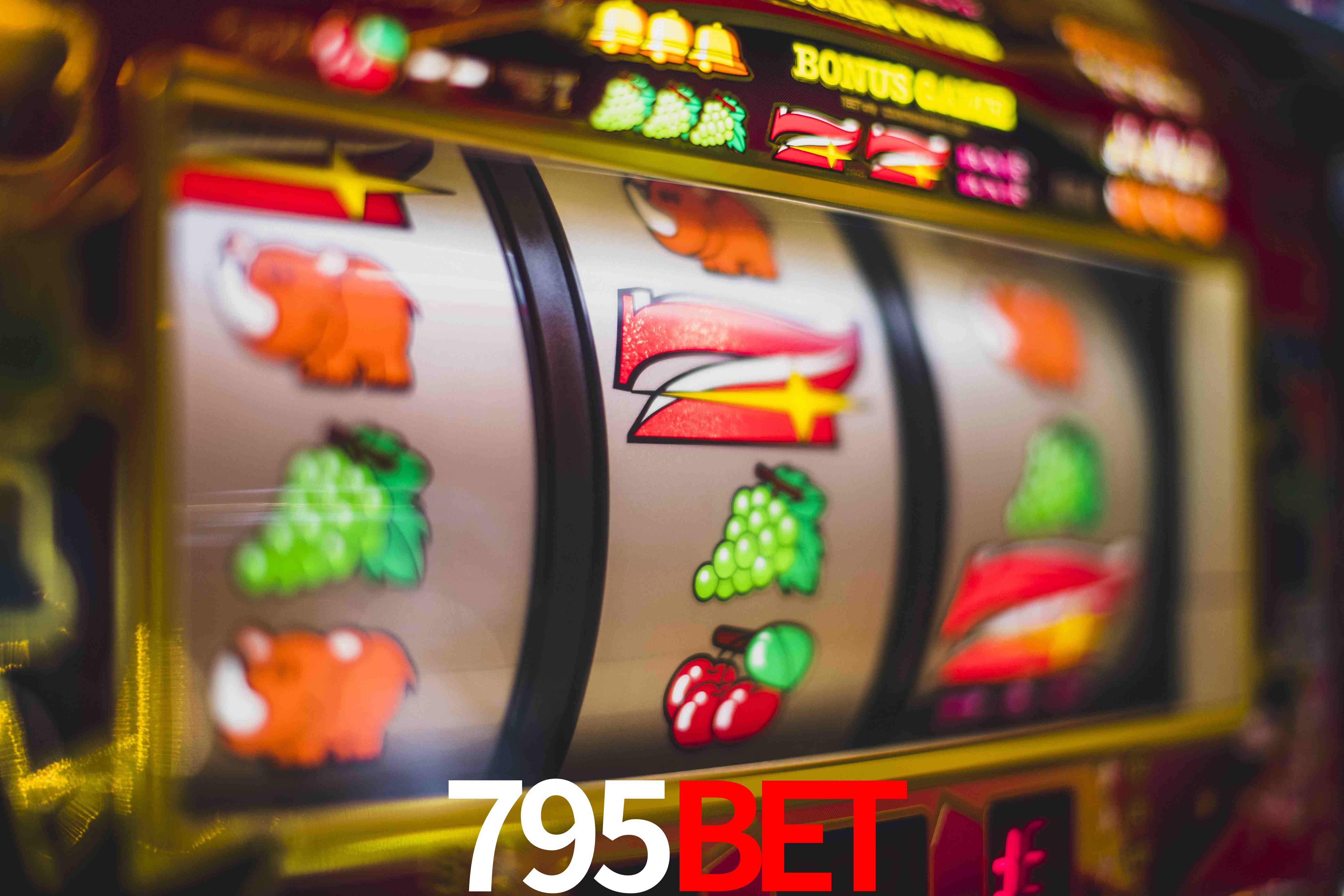 Statistics 795bet